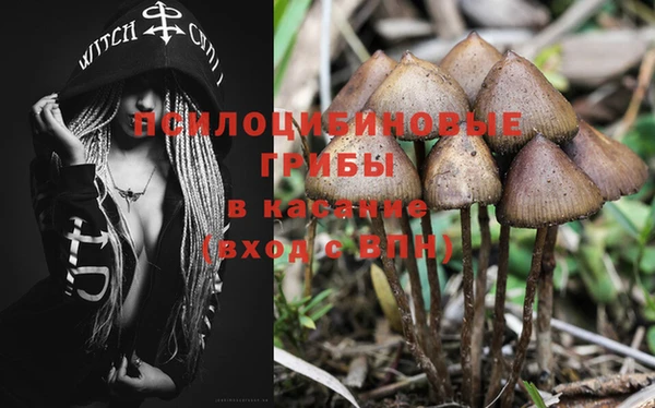 крисы Абинск
