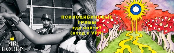 ALPHA PVP Алексин
