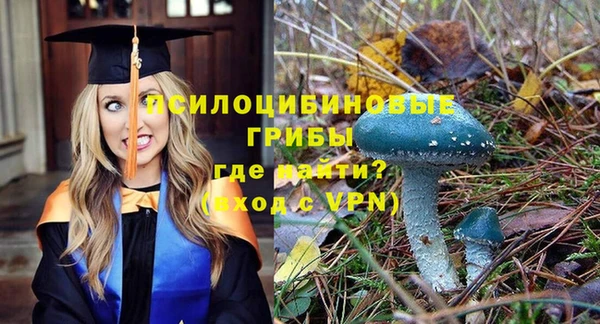 не бодяженный Алзамай