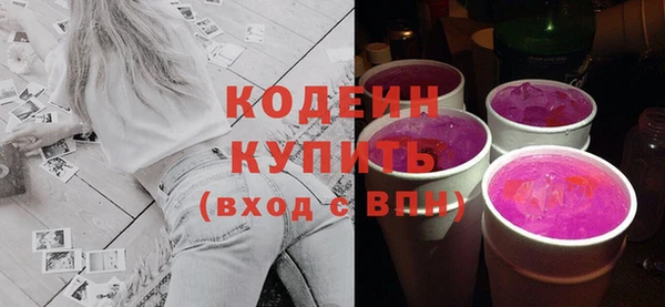 индика Абаза